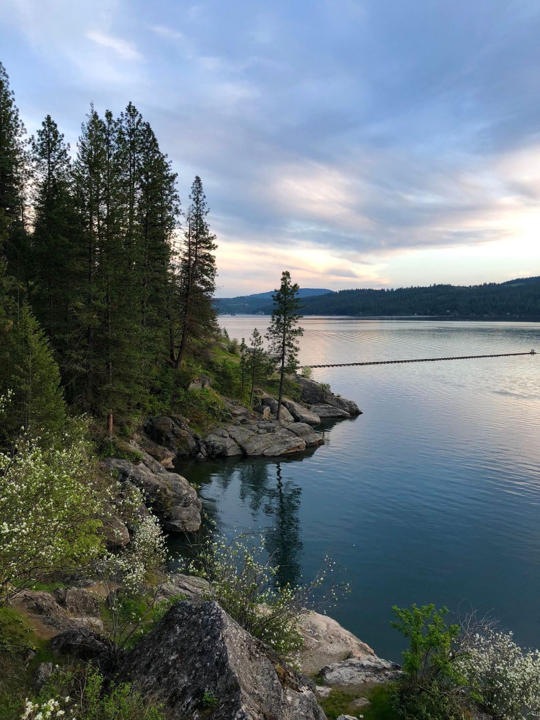 Pine trees and rocky shoreline on Lake Coeur d'Alene at dusk